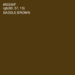 #50390F - Saddle Brown Color Image