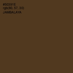 #50391E - Jambalaya Color Image