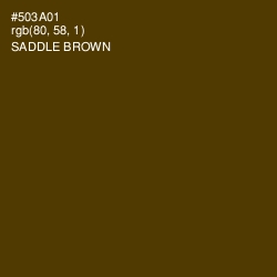 #503A01 - Saddle Brown Color Image