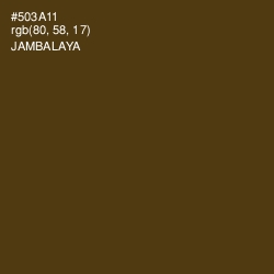 #503A11 - Jambalaya Color Image