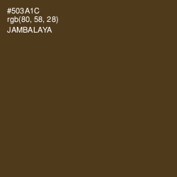 #503A1C - Jambalaya Color Image