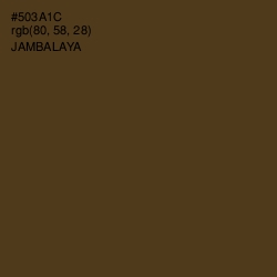 #503A1C - Jambalaya Color Image