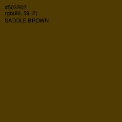 #503B02 - Saddle Brown Color Image