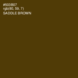 #503B07 - Saddle Brown Color Image