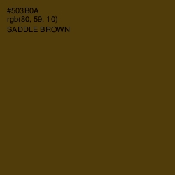 #503B0A - Saddle Brown Color Image