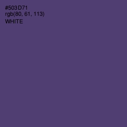 #503D71 - Voodoo Color Image