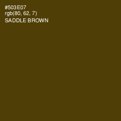 #503E07 - Saddle Brown Color Image