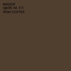 #503E2F - Irish Coffee Color Image