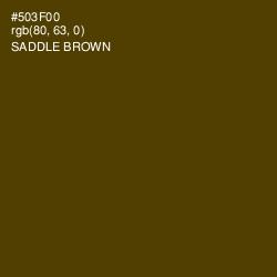 #503F00 - Saddle Brown Color Image