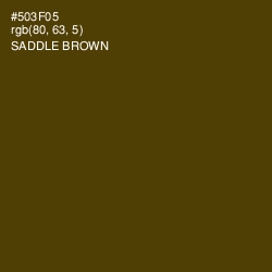 #503F05 - Saddle Brown Color Image