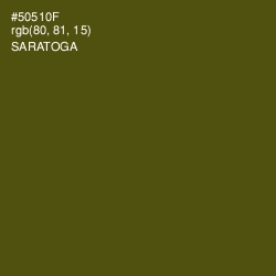 #50510F - Saratoga Color Image