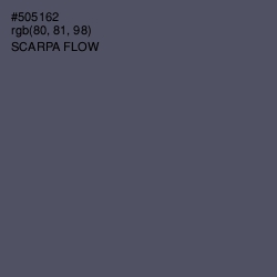 #505162 - Scarpa Flow Color Image