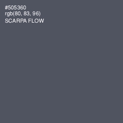#505360 - Scarpa Flow Color Image