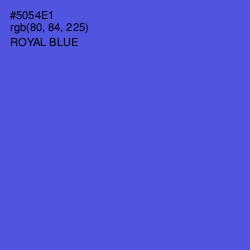 #5054E1 - Royal Blue Color Image