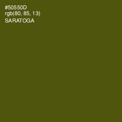 #50550D - Saratoga Color Image