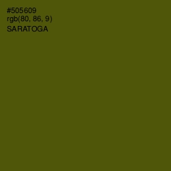 #505609 - Saratoga Color Image