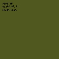 #50571F - Saratoga Color Image