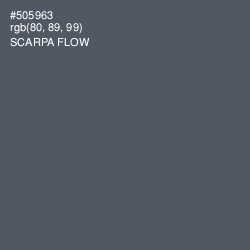 #505963 - Scarpa Flow Color Image