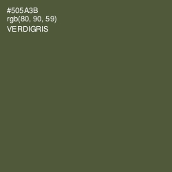 #505A3B - Verdigris Color Image