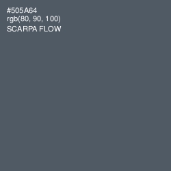#505A64 - Scarpa Flow Color Image