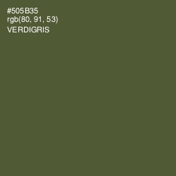 #505B35 - Verdigris Color Image
