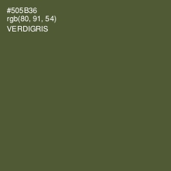#505B36 - Verdigris Color Image