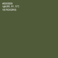 #505B39 - Verdigris Color Image