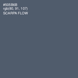 #505B6B - Scarpa Flow Color Image