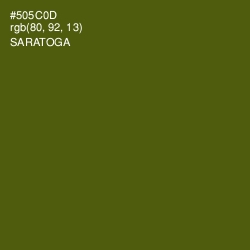 #505C0D - Saratoga Color Image