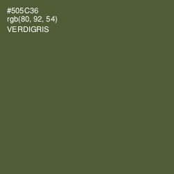 #505C36 - Verdigris Color Image