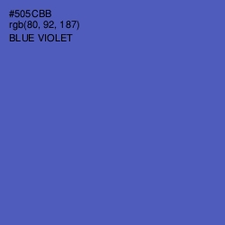 #505CBB - Blue Violet Color Image