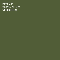 #505D37 - Verdigris Color Image