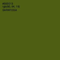 #505E13 - Saratoga Color Image