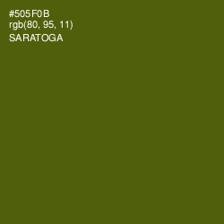 #505F0B - Saratoga Color Image