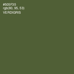 #505F35 - Verdigris Color Image