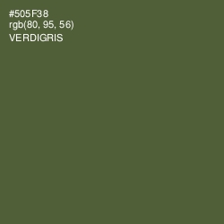 #505F38 - Verdigris Color Image