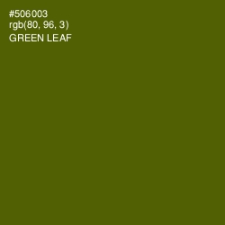 #506003 - Green Leaf Color Image