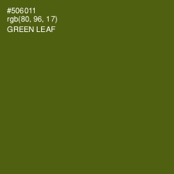 #506011 - Green Leaf Color Image