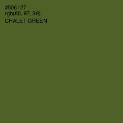 #506127 - Chalet Green Color Image