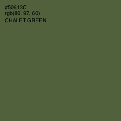 #50613C - Chalet Green Color Image