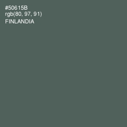 #50615B - Finlandia Color Image