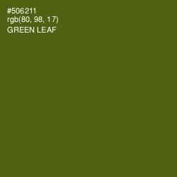 #506211 - Green Leaf Color Image