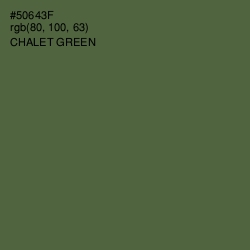 #50643F - Chalet Green Color Image