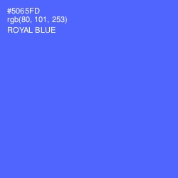 #5065FD - Royal Blue Color Image