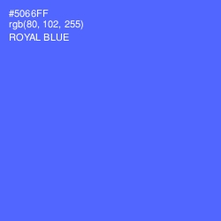 #5066FF - Royal Blue Color Image