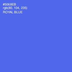 #5068EB - Royal Blue Color Image