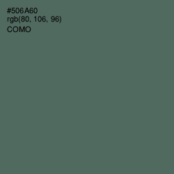 #506A60 - Como Color Image