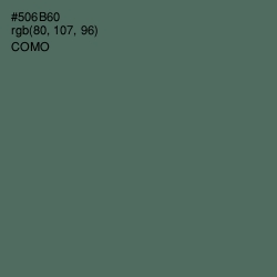 #506B60 - Como Color Image