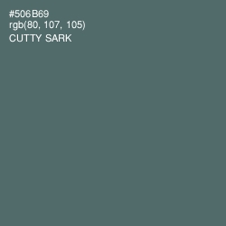 #506B69 - Cutty Sark Color Image