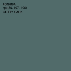 #506B6A - Cutty Sark Color Image